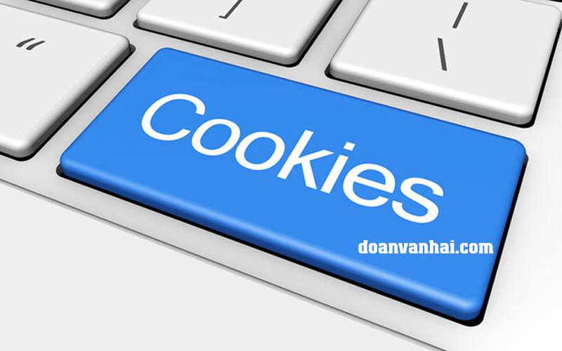 Cookie máy tính: Chúng là gì và cách quản lý chúng